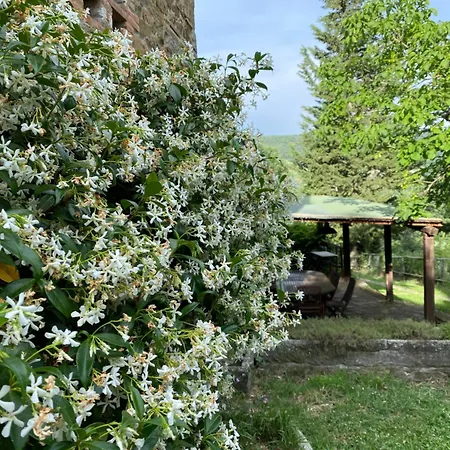 Casa Al Monte * Greve in Chianti